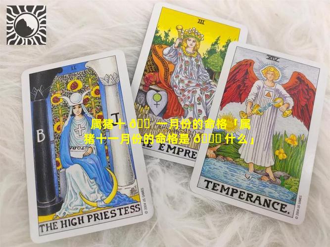 属猪十 🐠 一月份的命格「属猪十一月份的命格是 🕊 什么」